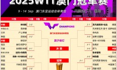 半岛体育官方-丹麦力克荷兰，闯入欧锦赛四强