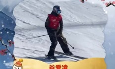 半岛体育视频-瑞士冰雪运动员呼风唤雨，登顶领奖台的简单介绍