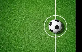 维罗纳成绩惊人,欧战资格渐行渐近 维罗纳成绩惊人,欧战资格渐行渐近